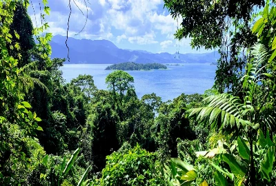 Peaceful Paddles and Exciting Rides: Water Adventures for Every Traveler at Lake Arenal
