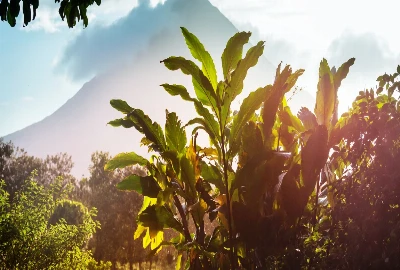 Peaceful Paddles and Exciting Rides: Water Adventures for Every Traveler at Lake Arenal