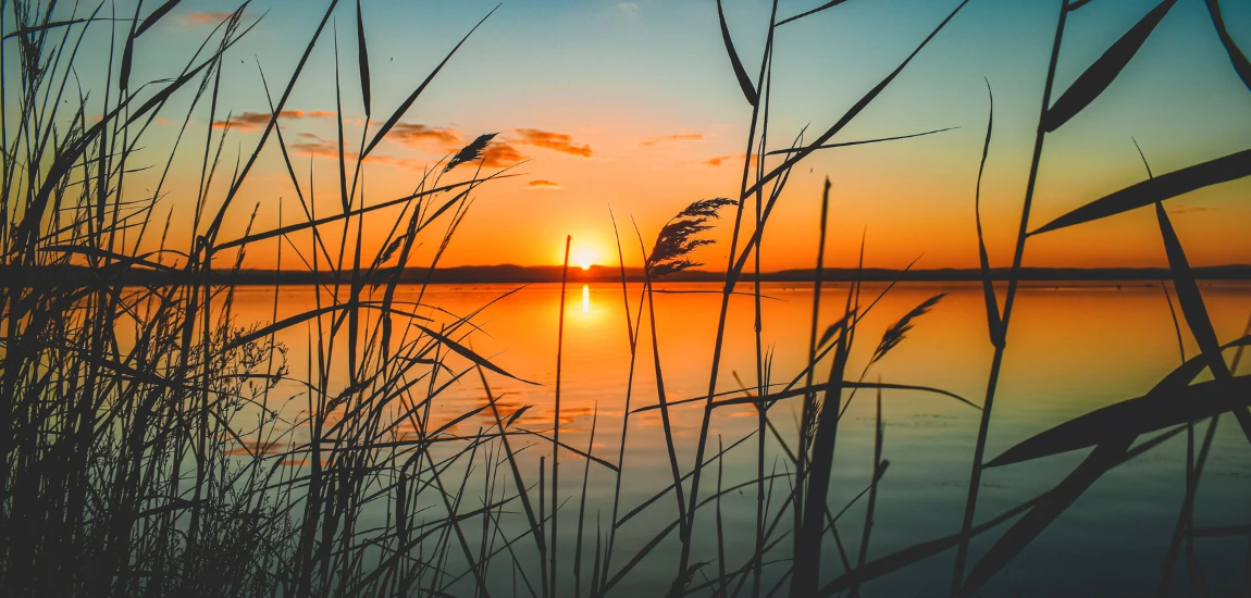 Sunsets and Suppers: Where to Dine for a Romantic Evening at Lake Arenal